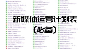 品牌營銷市場策劃推廣宣傳執(zhí)行流程工作計(jì)劃方案模板